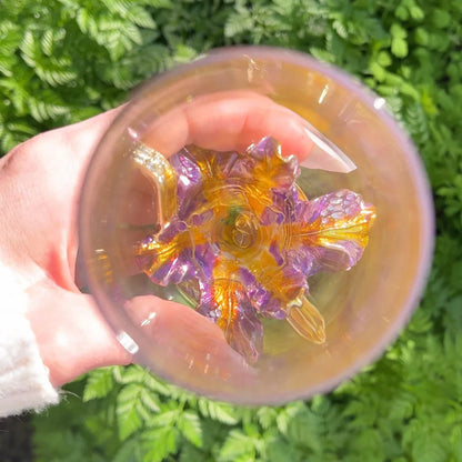 Rapunzel Şampanya Bardağı