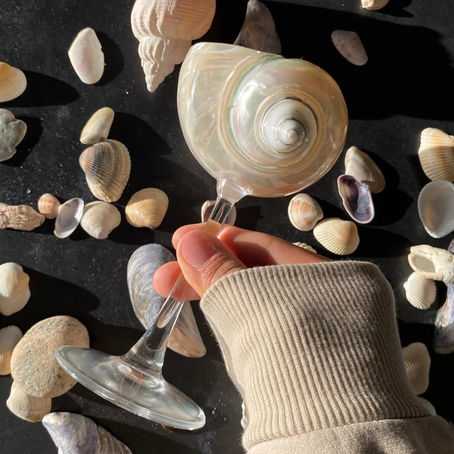 Ariel Şampanya Bardağı