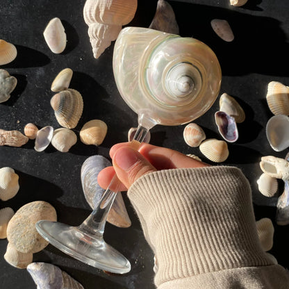 Ariel Şampanya Bardağı