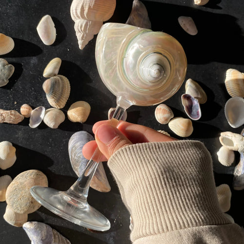 Ariel Şampanya Bardağı